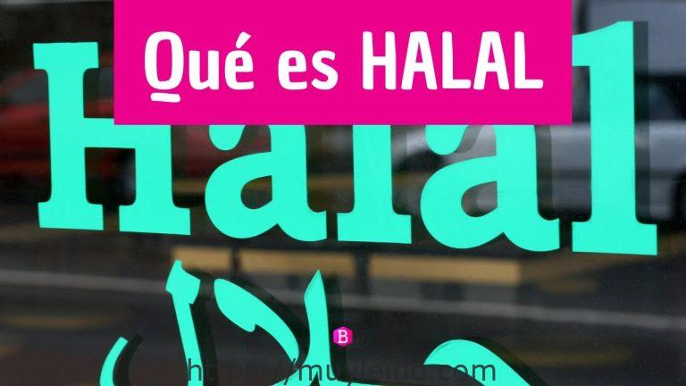 Comida halal cerca de mi: sabores auténticos y de calidad en tu zona