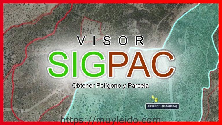 Busca polígono y parcela en SIGPAC: guía completa y fácil de seguir