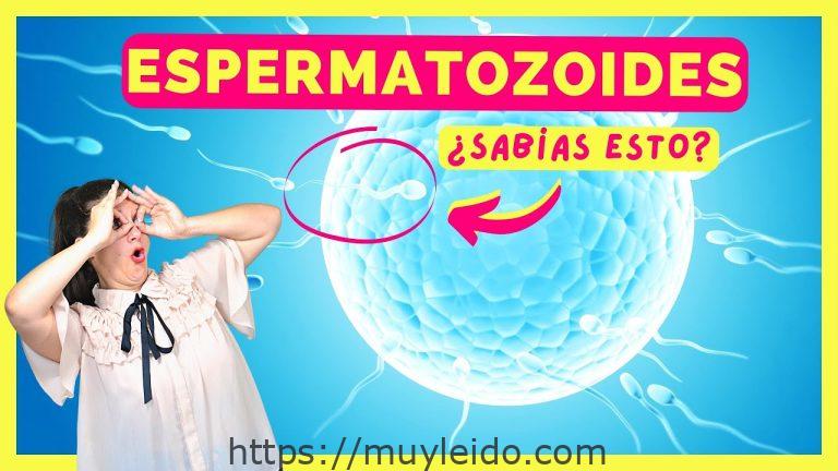 Consejos para mejorar la fertilidad: cómo ayudar a los espermatozoides a llegar al óvulo