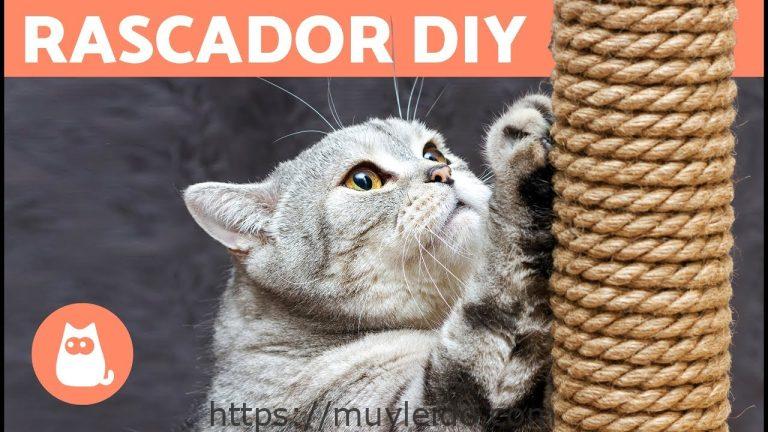Guía completa para hacer un rascador casero para gatos
