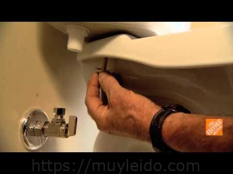 Guía completa para instalar un inodoro correctamente